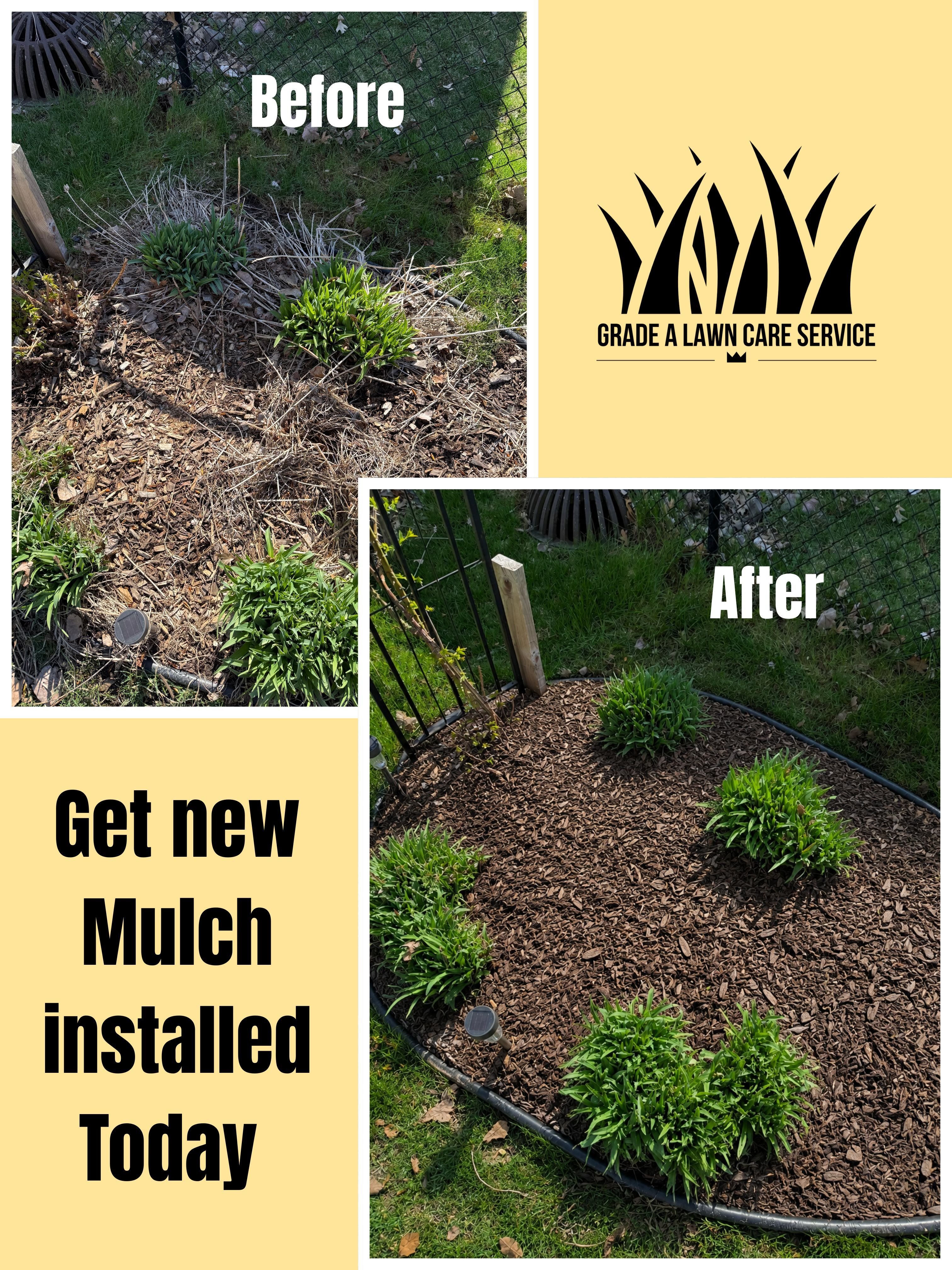 Before after after mulch